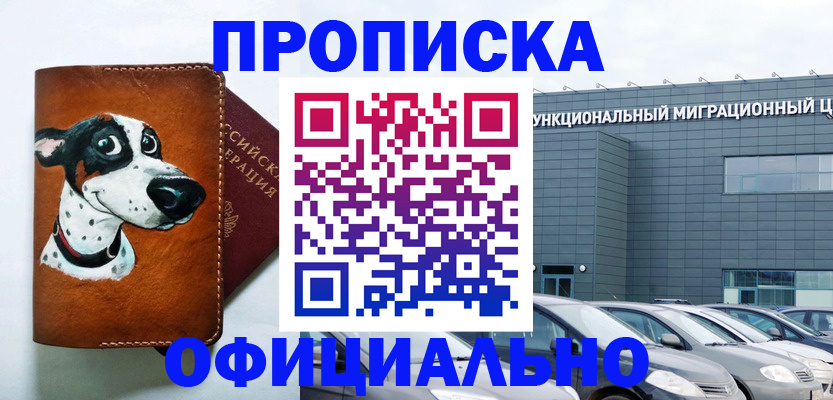 временная прописка в Лебедяни